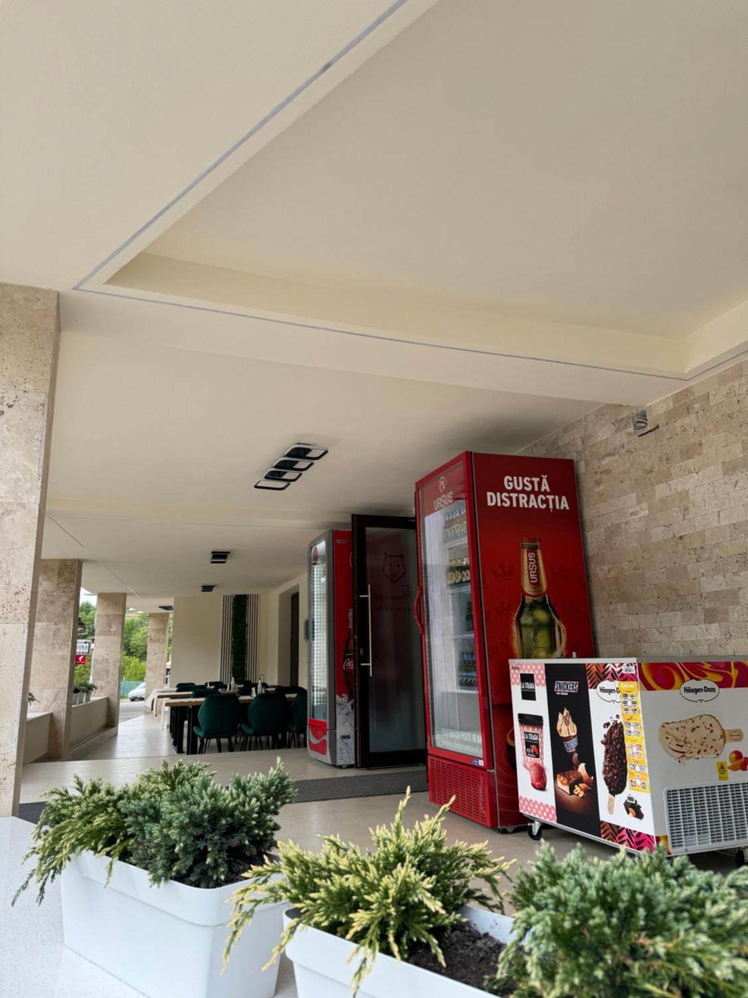 Conacul Pestera Ursilor Chiscau Экстерьер фото
